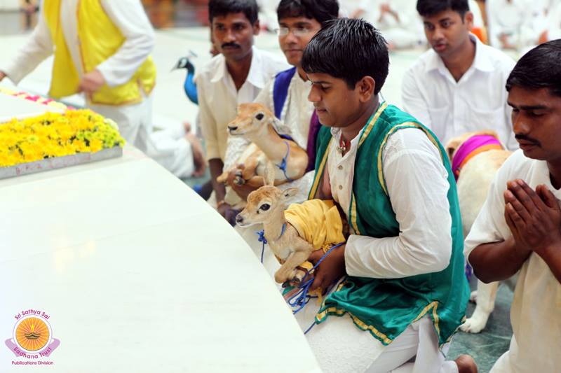 Sri Krishna Janmashtami Celebrations 2014 at Prasanthi Nilayam Updates