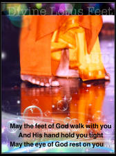 lotus feet sathya sai baba