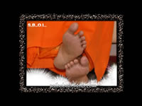 sai-kamal-charan-lotus-feet-of-sri-sathya-sai-baba