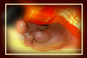 DivineLord--lotus-feet-sai-baba