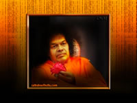 bhagawan-sri-sathya-sai-baba-holding-a-rose-flower-wallpaper