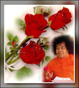 roses-sri-sathya-sai-baba