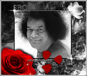 Saiart - SAI-BABA-RARE-PHOTO-ROSE-PETALS-PUJA-DIVINE-LOOK