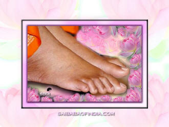 Lotus feet of Sai Baba