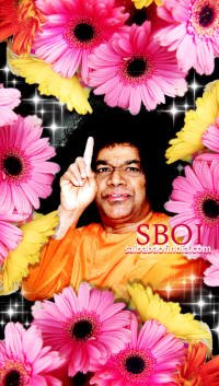 sathya-sai-baba-flowers-pooja