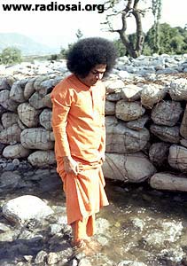 Sai in Kashmir