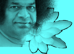 Sai Baba-Lotus